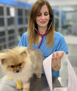 Cardiologia Veterinaria Montjuic Cardiologia Veterinaria Montjuic
